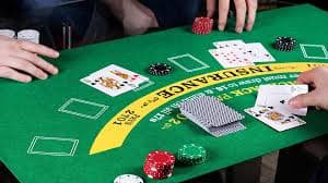 bet313 bet313